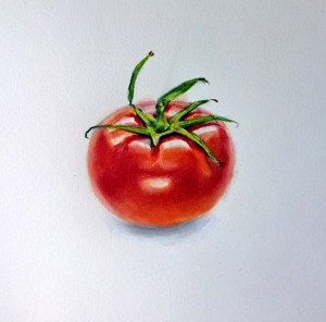 Tomato