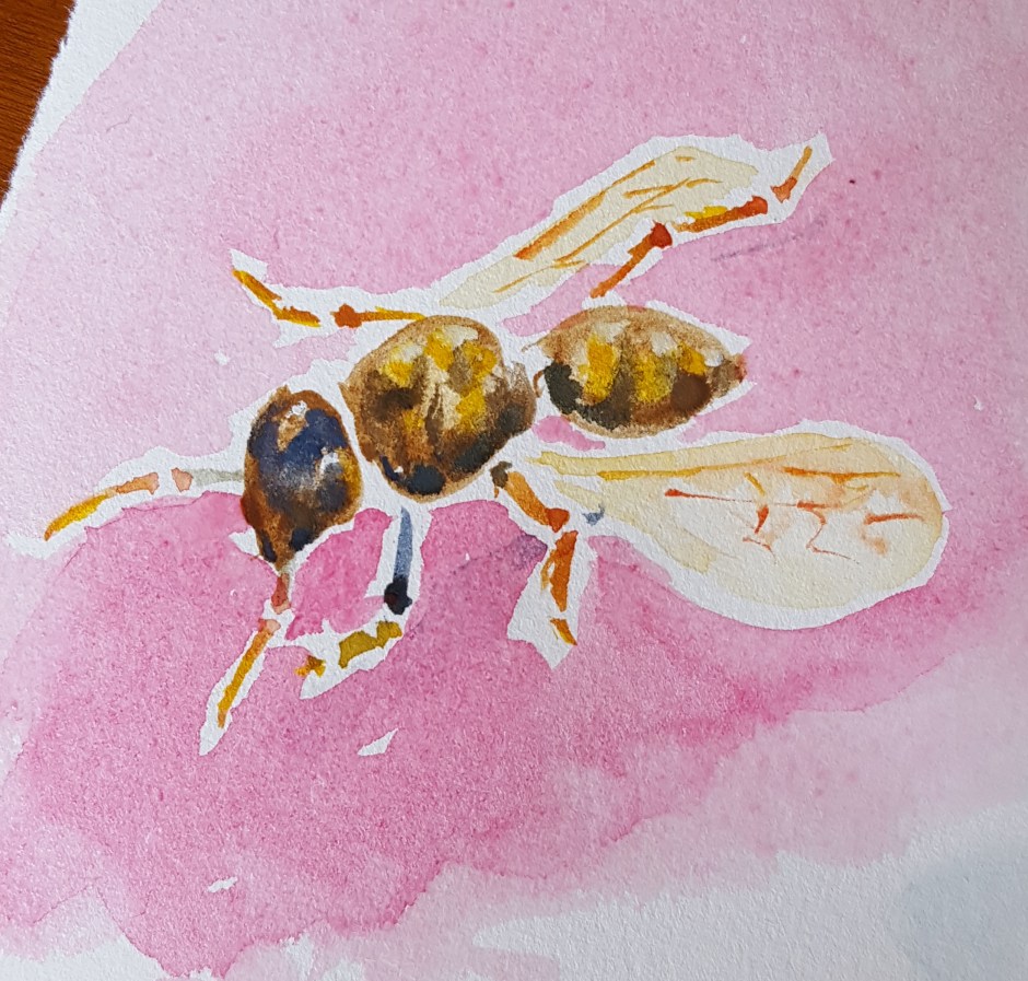 Bhavna Misra Wasp Watercolor 2017