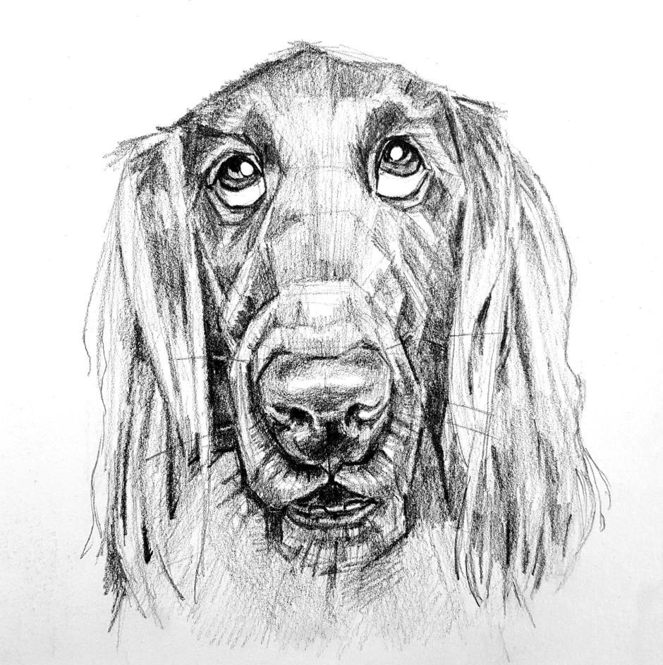 Rudy - Gaphite on Artist Tile