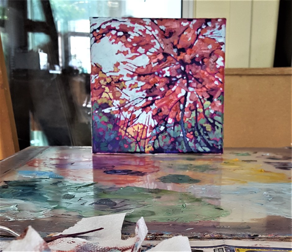 Ruby Red Autumn in Studio